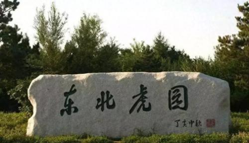 长春十大美女排行榜(长春十大猛将)插图23