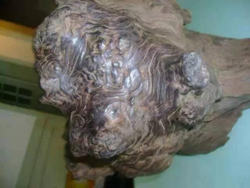 木头密度与硬度排行榜(各种木材的密度和硬度)插图4