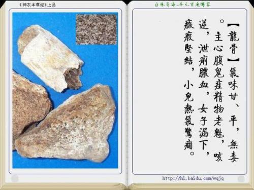 本草纲目中药大全(12000种中草药大全)插图31