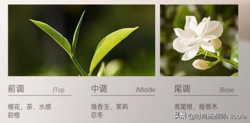 洗发水牌子排行榜(最好的去屑洗发水排行榜)插图19