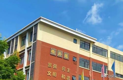 开福区热门小学排名前十(岳麓区小学排名最新名单)插图1