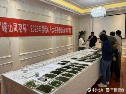 青岛茶叶品种排名前十(青岛十大名茶最新排名)插图