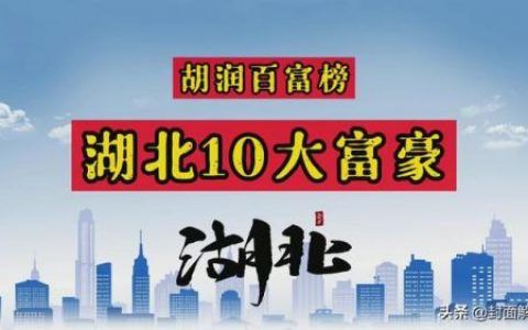 湖北省首富排行榜(武汉富豪榜前十名)