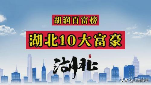 湖北省首富排行榜(武汉富豪榜前十名)插图