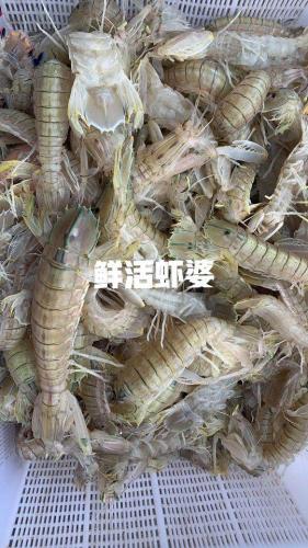 赣榆本地商家排名前十(赣榆信息港)插图13