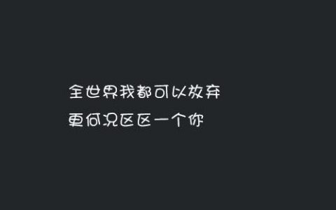 全世界我都可以放弃(爱你我放弃了全世界时婳)