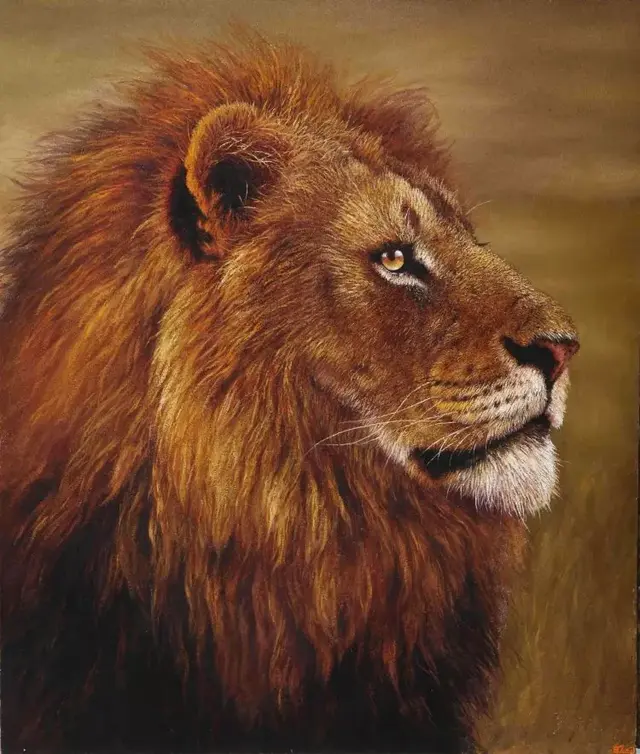 世界猛兽排行榜(世界最强动物前十名)插图16