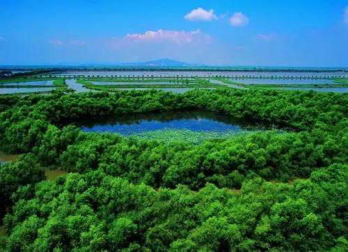 广东水系公园排名前十(唐山西北环城水系公园介绍)插图3