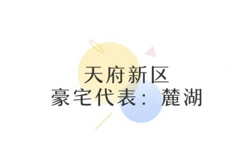 成都简约豪宅排名前十(成都最贵豪宅)插图12