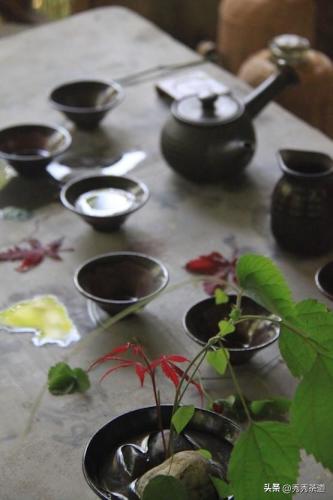西安茶艺培训排行榜(茶艺师培训机构哪家好)插图19