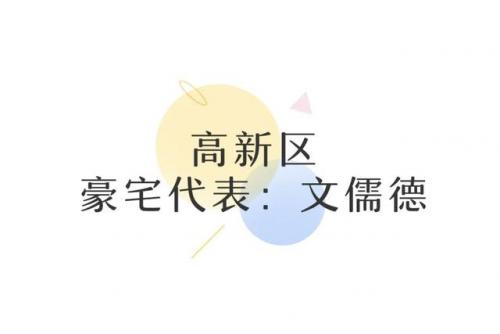 成都简约豪宅排名前十(成都最贵豪宅)插图27