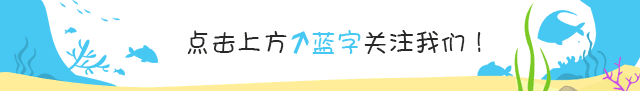 北欧十大金刚排行榜最新(北欧地板十大品牌)插图