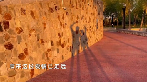 欠你的太多歌词(只欠一句我爱你歌词)插图