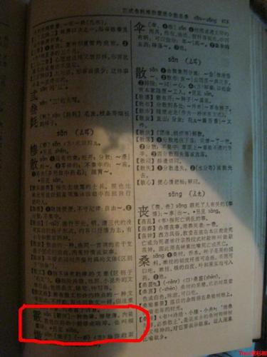 散弹和霰弹有什么区别(到底是读霰弹还是散弹)插图5