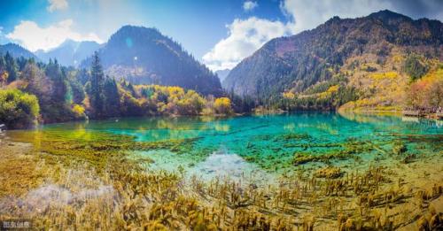 冬季九寨沟旅游攻略(泸沽湖旅游攻略)插图