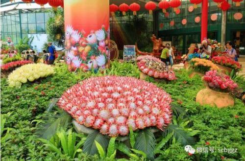 南非的国花(公主花寓意及花语)插图
