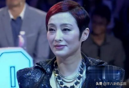中国明星复出排名前十(永不复出的明星6)插图15