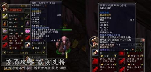 魔兽世界皮甲比基尼(好看的皮甲幻化前十名)插图8