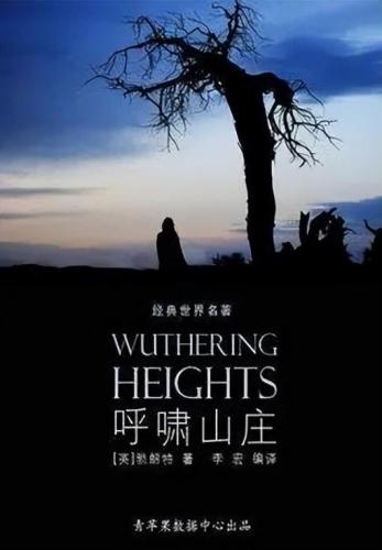 关于爱情的书籍排行榜(世界十大爱情名著小说)插图1
