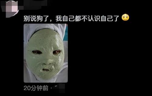 明星宠物面膜排名前十(全部明星的宠物的名字)插图7