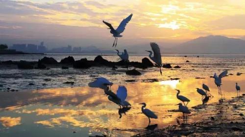 广东水系公园排名前十(唐山西北环城水系公园介绍)插图6