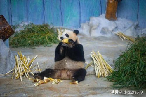 海口十大必游景点排行榜最新(海口必去八个景点)插图2