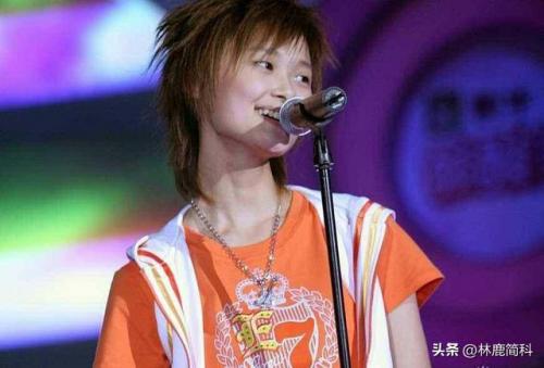 超级女生排行榜(超女最成功的是谁)插图5