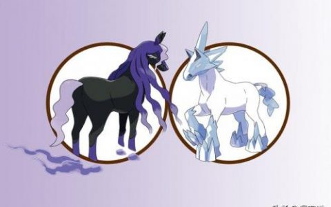 宠物小精灵黑白(神奇宝贝精灵大全图鉴)