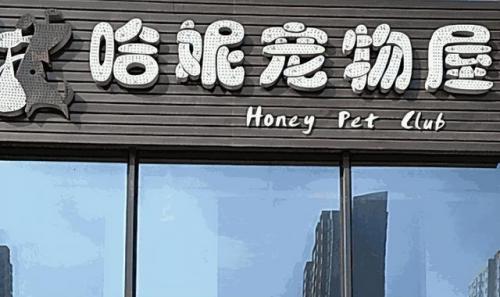 北京加盟店排行榜(加盟店排行榜加盟10大品牌)插图4