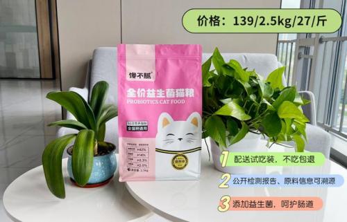 猫咪智商排行榜(公认最聪明的6种猫)插图12
