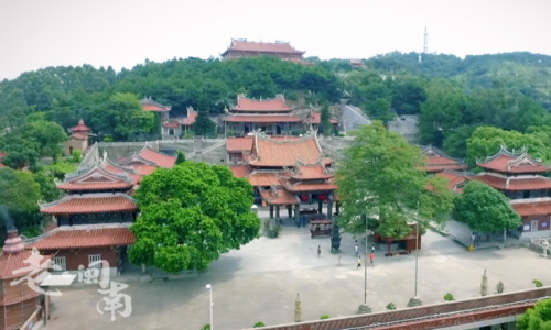晋江茶叶厂家排名前十(福建知名茶叶企业有哪些)插图9
