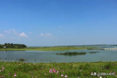 巢湖市小学排行榜(安徽巢湖学校初中排名)插图3