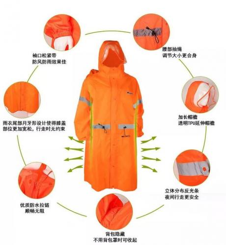 洛克王国小马驹进化厉害吗(洛克王国现在的超进化)插图5