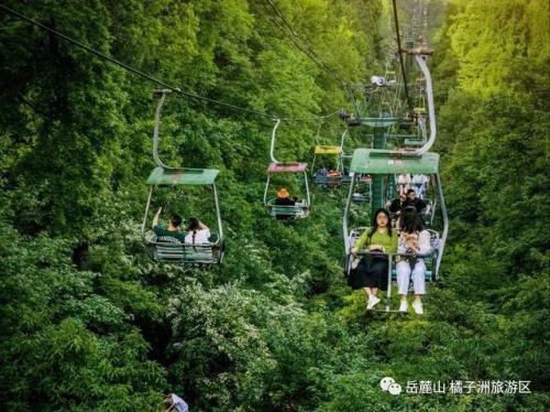 长沙最高索道排名前十(长沙岳麓山缆车开放时间)插图4