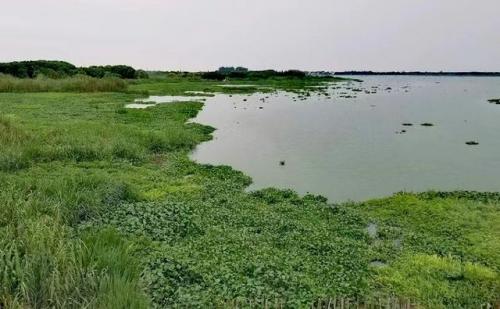昆山好玩的地方排行榜(花桥附近有什么好玩的地方)插图22