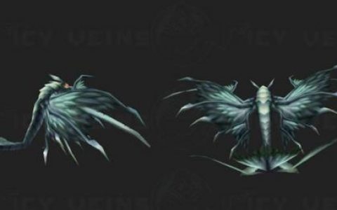 魔兽世界17周年坐骑龙鹰获取方法分享(魔兽世界四色隼龙坐骑)