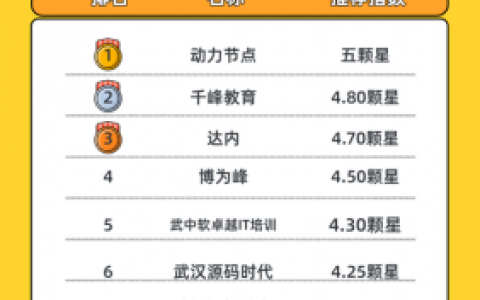 武汉培训学校排行榜(武汉电脑编程培训学校哪家好)