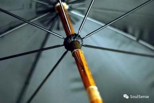 世界雨伞品牌排行榜(十大名牌雨伞)插图10
