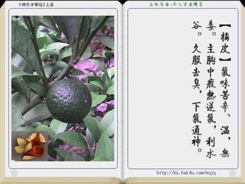 本草纲目中药大全(12000种中草药大全)插图39