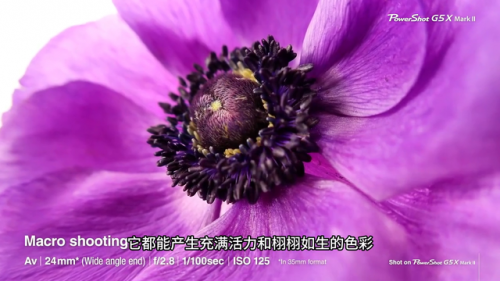 卡片机相机排行榜(2023年最好的卡片机)插图1