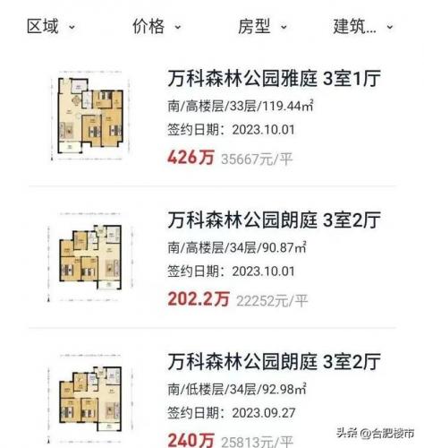 合肥房价排行榜(合肥市楼盘价格一览表)插图11
