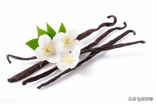 兰茶前十香水排名(全球最好闻的十大香水)插图