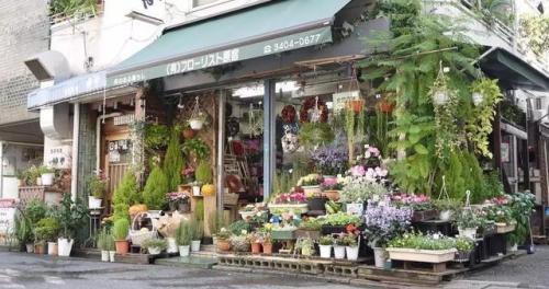 想开花店(新手怎么开花店)插图17