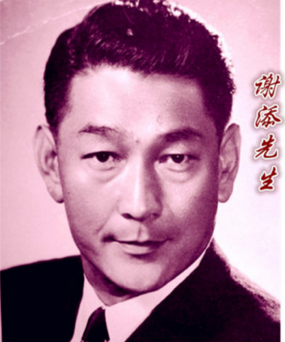 已故华人明星排行榜(最具影响力已故华人明星)插图33