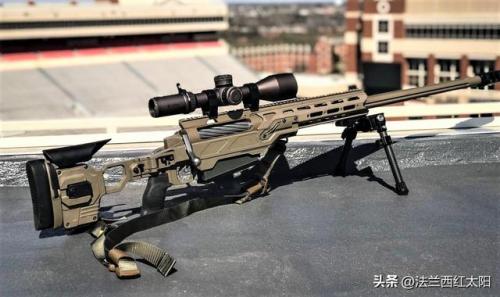 阻击步枪射程排名前十(世界十大名枪之狙击步枪)插图8