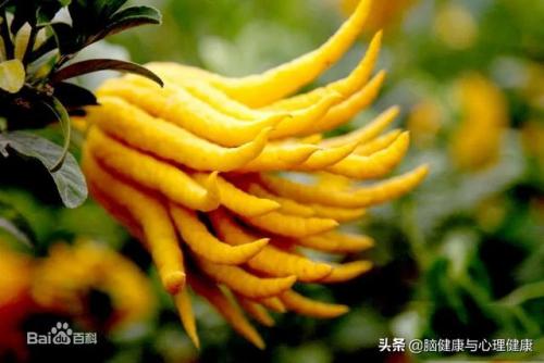 壮阳精油排行榜10强(黑豹精油修复海绵体吗)插图8