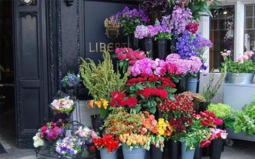 想开花店(新手怎么开花店)插图15