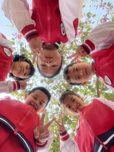 东莞高校校花排名前十(东莞最好的大学是哪一所)插图16