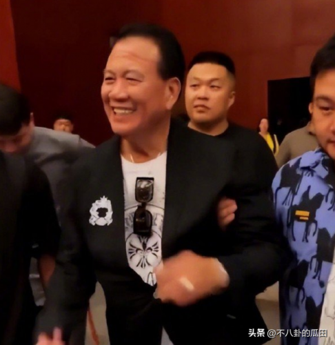 中国明星复出排名前十(永不复出的明星6)插图40
