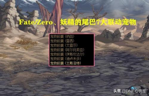 dnf年套宠物可以交易吗(2023春节宠物可以交易吗)插图